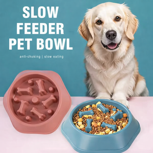 SlowFeeder Bowl
